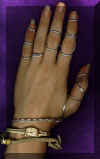 myhand.jpg (319812 bytes)