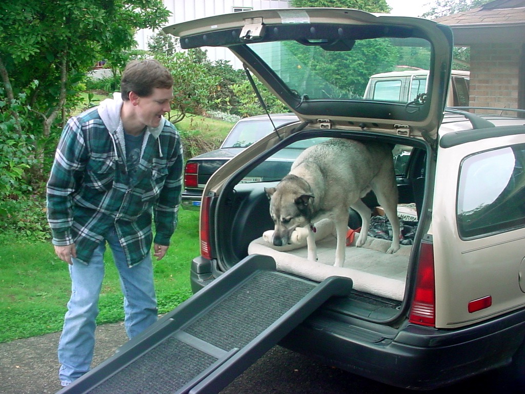 Sherlock won't leave the car without his rawhide!
