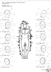 Non-Treatment Mode GDV